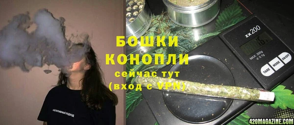 сатива Богородицк