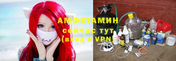прущие крисы Бородино