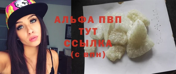сатива Богородицк