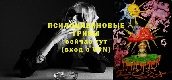 прущие крисы Бородино