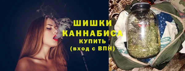 прущие крисы Бородино