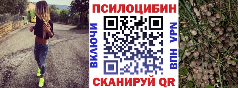 Псилоцибиновые грибы Cubensis  Иноземцево 
